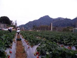 IMG_7175