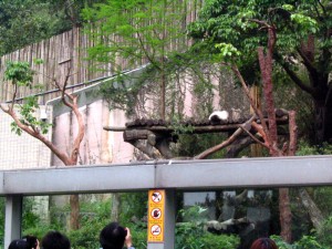 IMG_7441