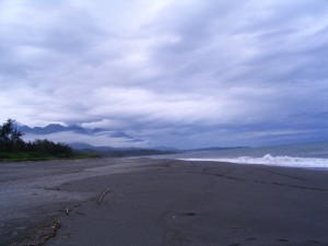 IMG_8023