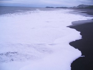 IMG_8035