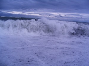 IMG_8037