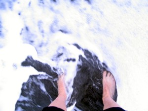 IMG_8041